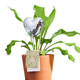 PVEB Disco Heart Stakes -  - Vases & Planters - Feliz Modern