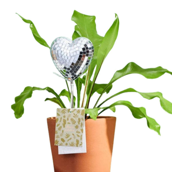 PVEB Disco Heart Stakes -  - Vases & Planters - Feliz Modern