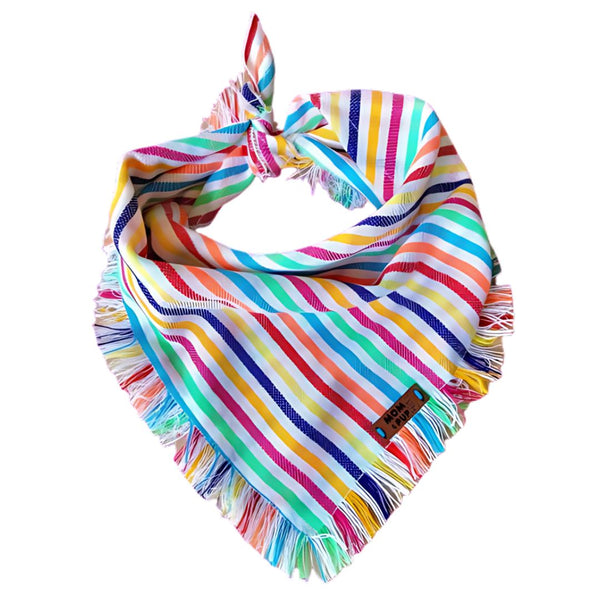 MAPC Rainbow Pet Bandana -  - Pets - Feliz Modern