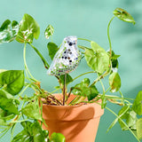 PVEB Disco Birdie Plant Stakes -  - Vases & Planters - Feliz Modern