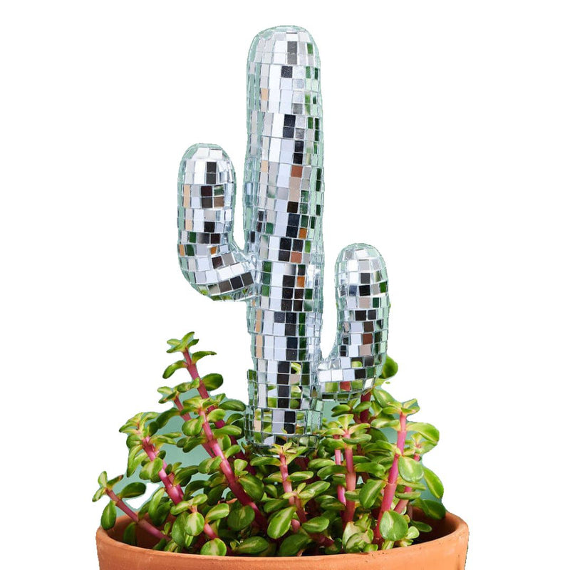 PVEB Disco Cactus Stakes -  - Vases & Planters - Feliz Modern