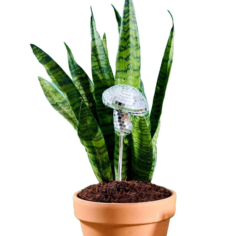 PVEB Disco Mushroom Stakes -  - Vases & Planters - Feliz Modern