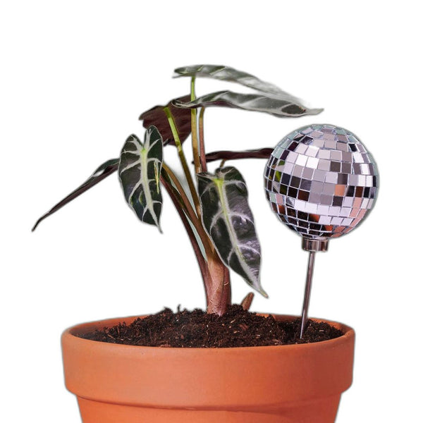 PVEB Disco Ball Stakes -  - Vases & Planters - Feliz Modern