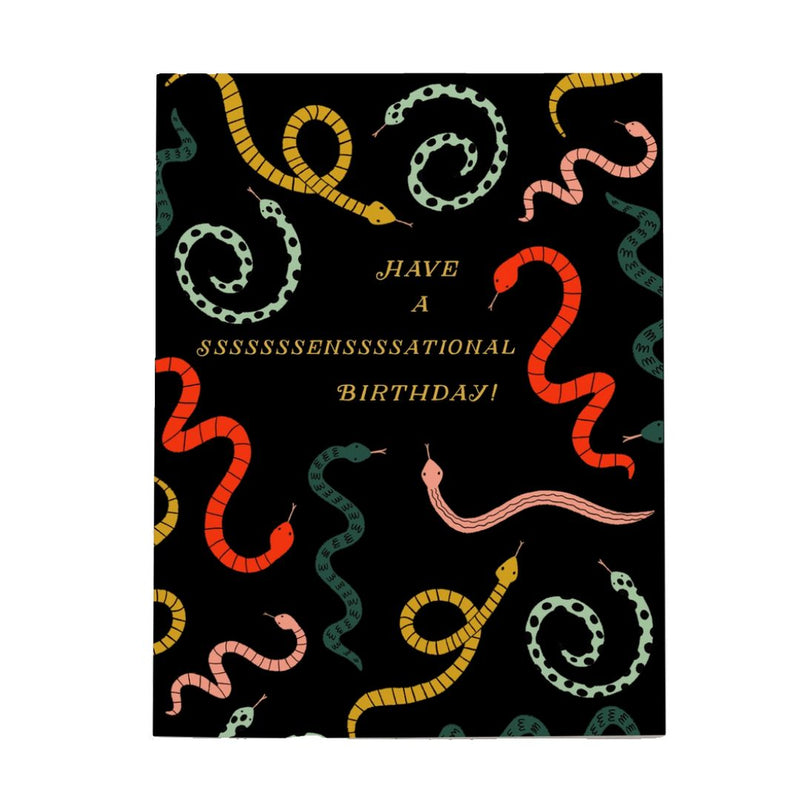 OEAC Sssssensational Birthday Card -  - Cards - Feliz Modern