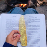 HUM Ear of Corn Bookmark -  - Books - Feliz Modern