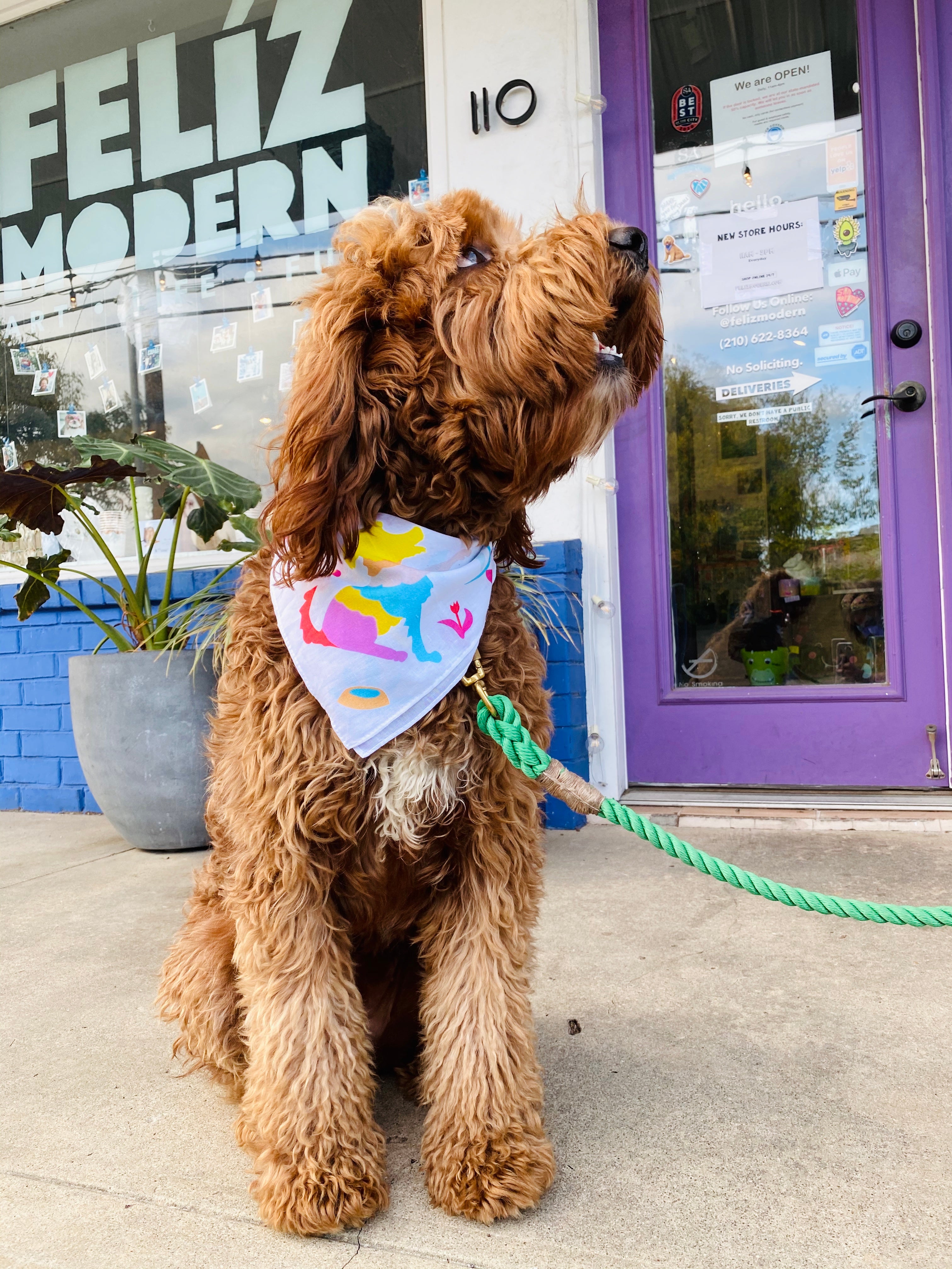 FMD* Otomi Dog Bandana